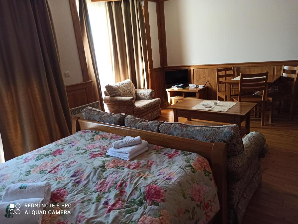 Mountain View Private Apartments In Pirin Golf And Spa Resort Ράζλογκ Εξωτερικό φωτογραφία